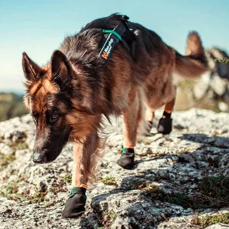 NonStop Dogwear Protector Dog Boots - Professional Paw Protection Booties for Hot Pavement, Glass, Salt & Rough Terrain - Dog.Dog.Cat.