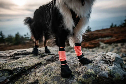 NonStop Dogwear Protector High Dog Boots - Extended Ankle Protection Booties for Injury Recovery & Harsh Terrain - Dog.Dog.Cat.