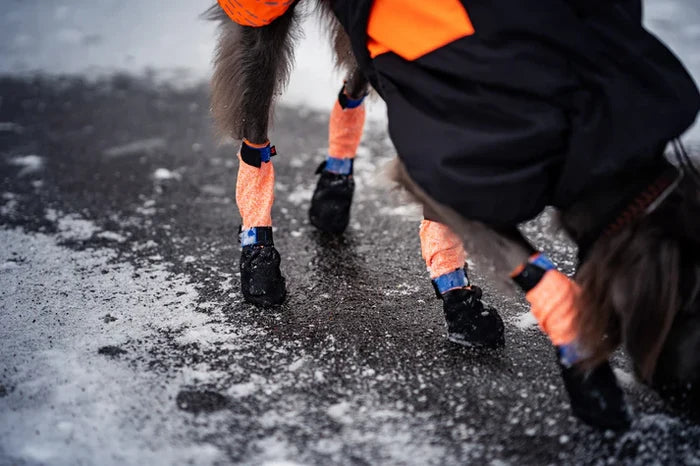 NonStop Dogwear Protector High Dog Boots - Extended Ankle Protection Booties for Injury Recovery & Harsh Terrain - Dog.Dog.Cat.