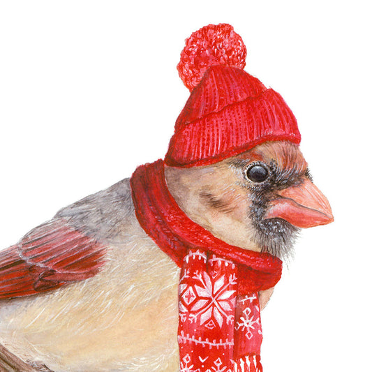 Northern Cardinal with Stocking Cap