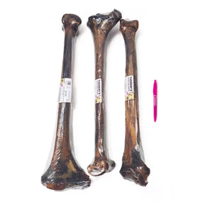 Ostrich Long Bone - Dog.Dog.Cat.