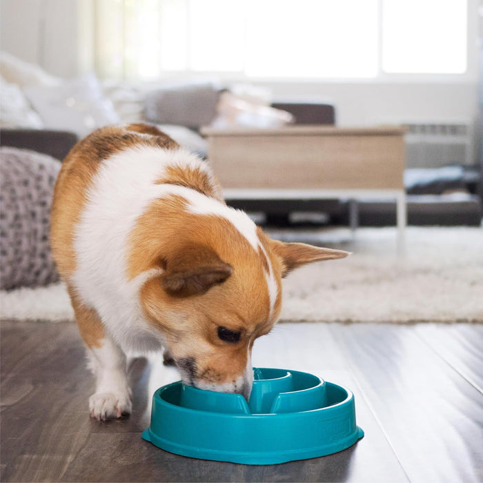 Outward Hound Fun Feeder Interactive Slow Feeder Bowl for Dogs - Dog.Dog.Cat.