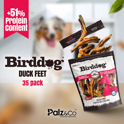 Palz&Co - Birddog Duck Feet (no nails) - Pack of 10 & 35 - Dog.Dog.Cat.
