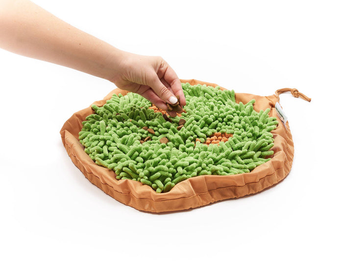 Pet Parents® - Forager® Bowl, Slow Feeder Bowls w/SoftSnout™ - Dog.Dog.Cat.