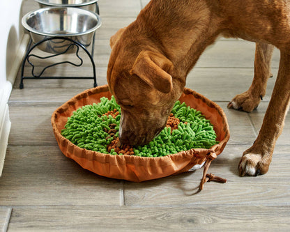 Pet Parents® - Forager® Bowl, Slow Feeder Bowls w/SoftSnout™ - Dog.Dog.Cat.