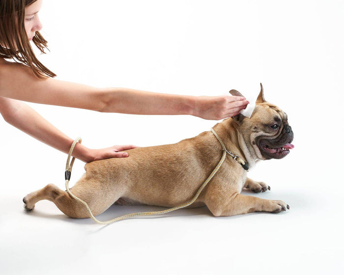 Pet Parents® - Pet WiPees™ Ear Wipes for Dogs & Cats, 100ct - Dog.Dog.Cat.