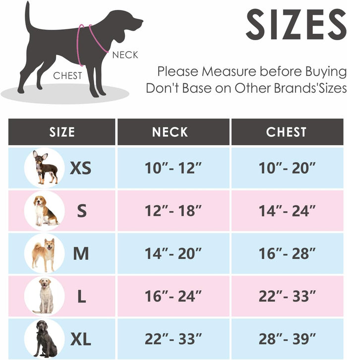 PHOEPET No Pull Dog Harnesses For Small Dogs Reflective Adjustable Front Clip Vest With Handle 2 Metal Rings 3 Buckles S Black