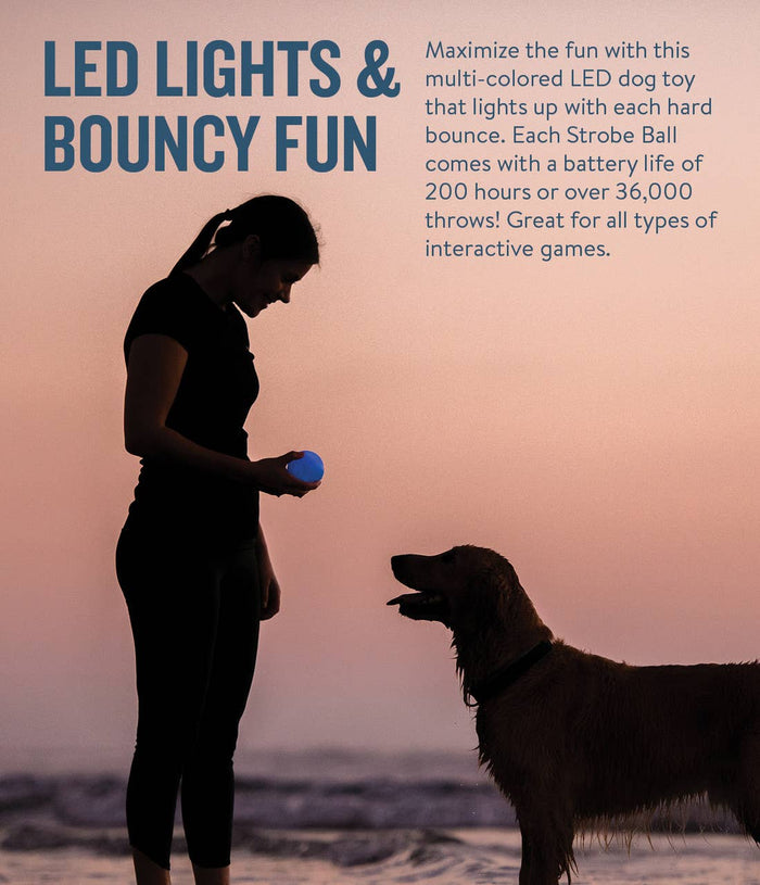 Planet Dog Orbee-Tuff Strobe Ball Light Up Dog Toy White - Dog.Dog.Cat.