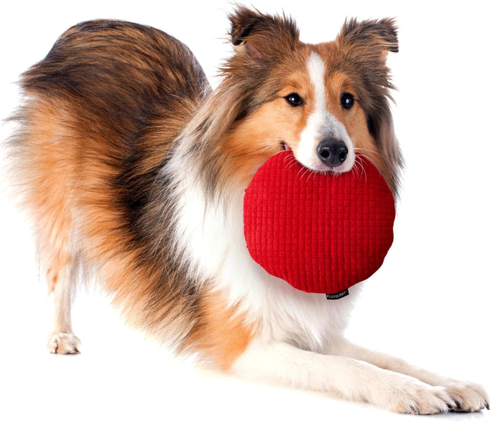 Playology Plush Crinkle Disc dog toy, Large size, with an all-natural beef scent - Dog.Dog.Cat.