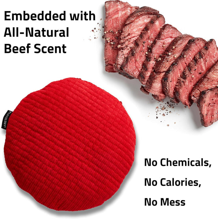Playology Plush Crinkle Disc dog toy, Large size, with an all-natural beef scent - Dog.Dog.Cat.