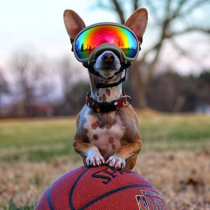 Premium Dog Goggles - UV Protection Eye Wear for Active Dogs - Dog.Dog.Cat.