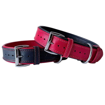 Premium Padded Floater Leather Dog Collar | Navy Blue & Red - Dog.Dog.Cat.
