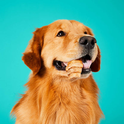 Project Hive Chew Treats Peanut Butter Large 9oz - Dog.Dog.Cat.