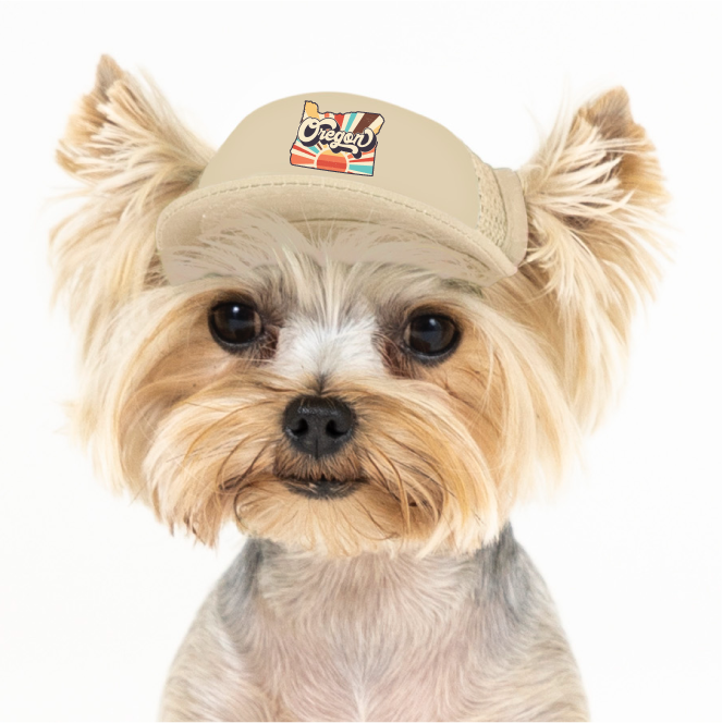 Puplid Vintage State | Trucker Hat for Dogs - California - Dog.Dog.Cat.