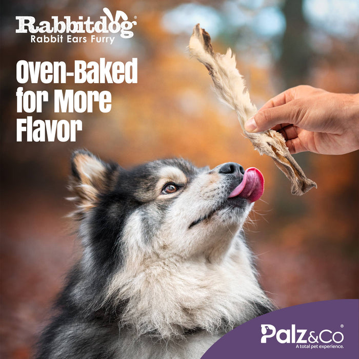 Palz&Co - Rabbitdog Rabbit Ears - 2.2 lbs (1kg) - Dog.Dog.Cat.