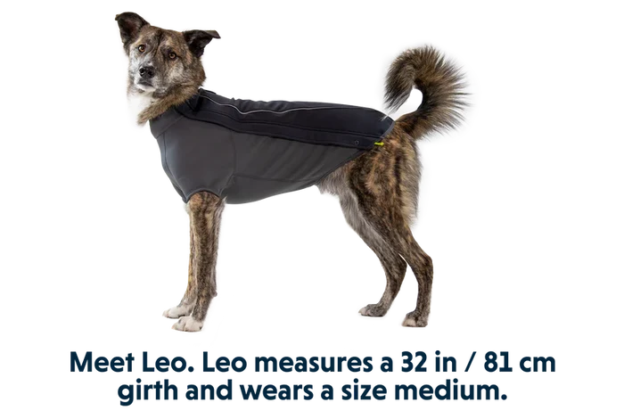 Ruffwear Cloud Chaser Dog Jacket - Dog.Dog.Cat.