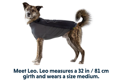 Ruffwear Cloud Chaser Dog Jacket - Dog.Dog.Cat.