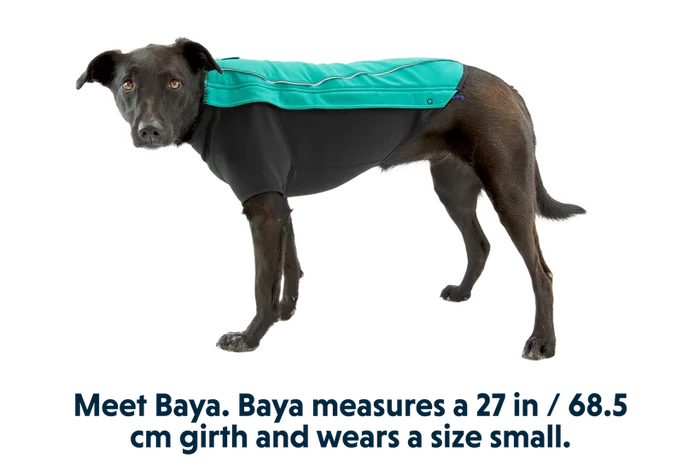 Ruffwear Cloud Chaser Dog Jacket — Packable Performance Coat for Active Dogs - Dog.Dog.Cat.