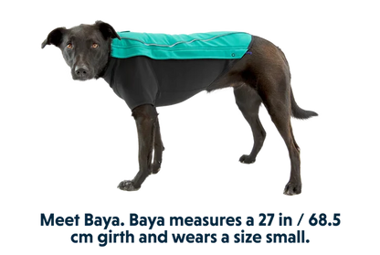Ruffwear Cloud Chaser Dog Jacket — Packable Performance Coat for Active Dogs - Dog.Dog.Cat.