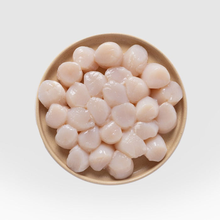 Scallop Meat - SEATOPIA