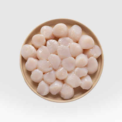 Scallop Meat - SEATOPIA