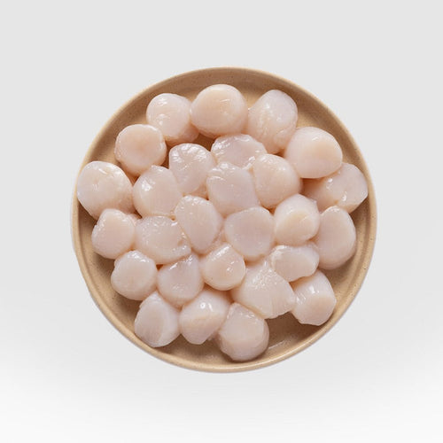 Scallop Meat - SEATOPIA