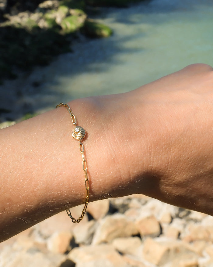 Shell Connector Bracelet