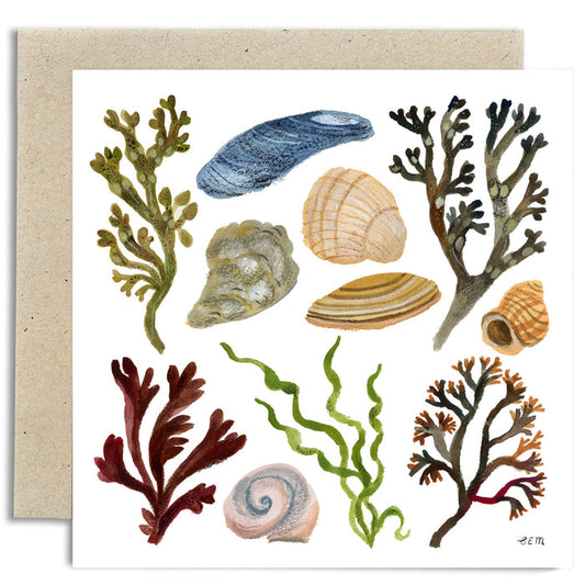 Shells and Seaweed Card