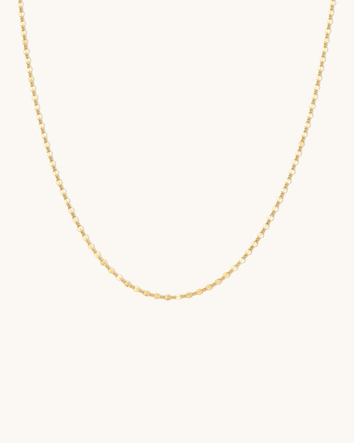 Shimmer Curb Chain Necklace