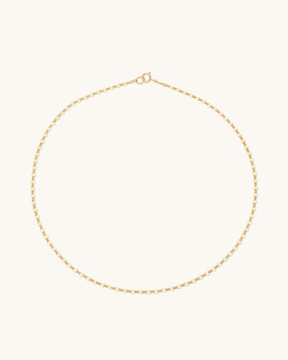 Shimmer Curb Chain Necklace