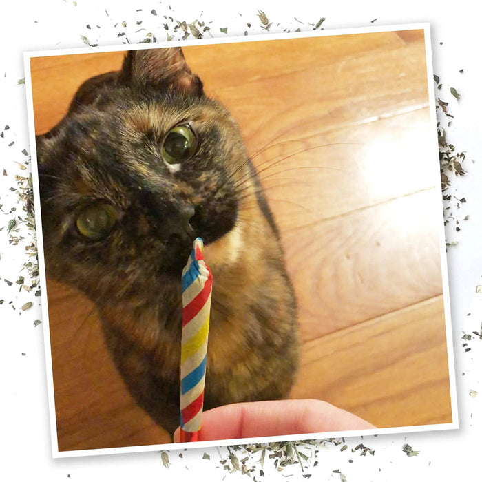 SmarterPaw | Meowijuana & Doggijuana - Meowijuana® Birthjays™ Party Size Catnip Rollies - Dog.Dog.Cat.