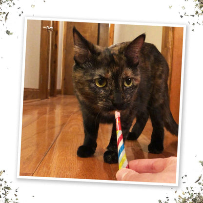 SmarterPaw | Meowijuana & Doggijuana - Meowijuana® Birthjays™ Party Size Catnip Rollies - Dog.Dog.Cat.