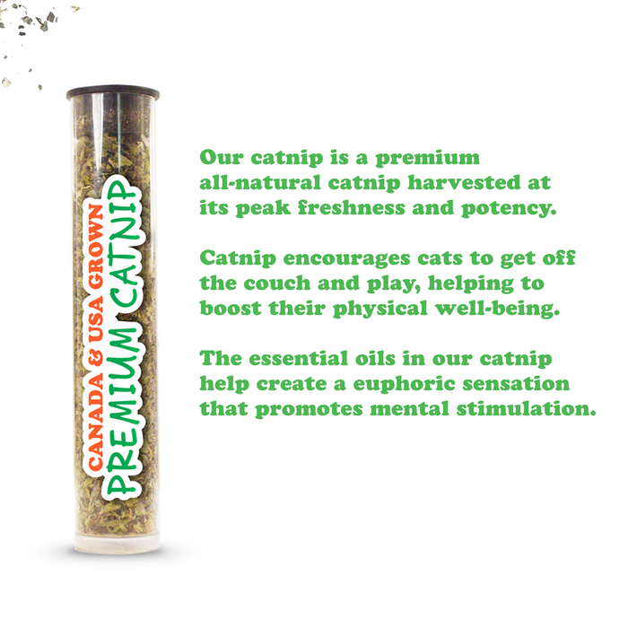 SmarterPaw | Meowijuana & Doggijuana - Meowijuana® Get Spooked Pumpkin Refillable Catnip Cat Toy - Dog.Dog.Cat.