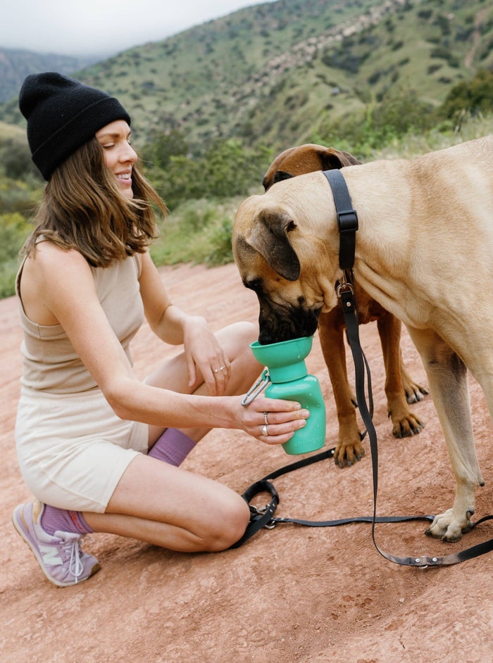 Dog Travel Water Bottle, 20oz, Flip Silicone - Dog.Dog.Cat.