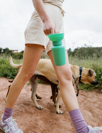 Dog Travel Water Bottle, 20oz, Flip Silicone - Dog.Dog.Cat.