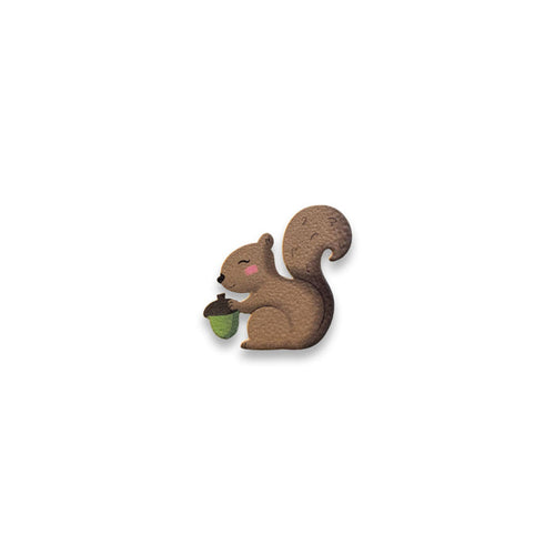 Squirrel Magnet
