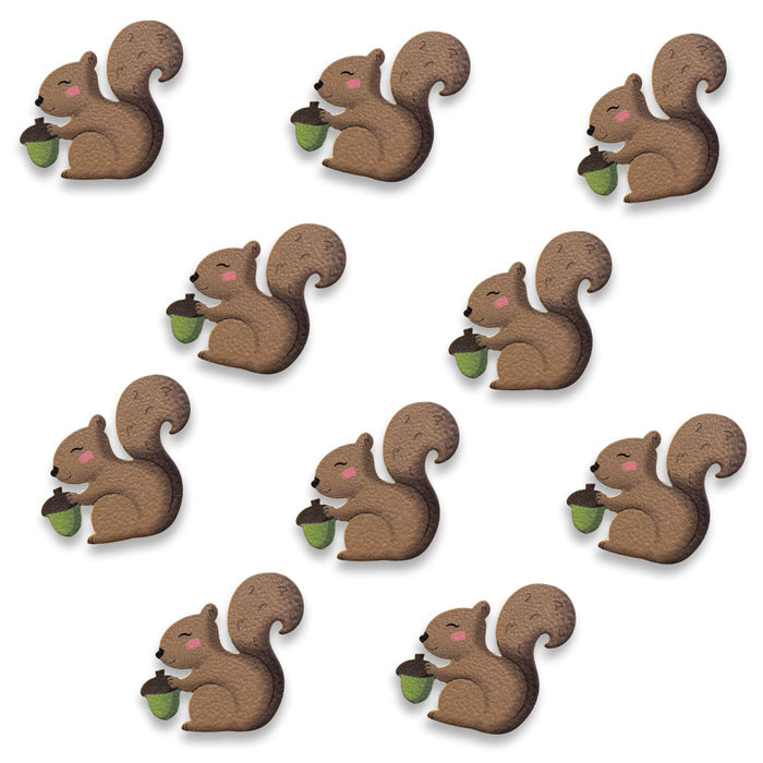 Squirrel Magnet