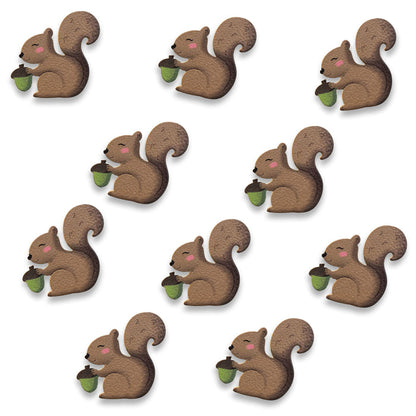 Squirrel Magnet
