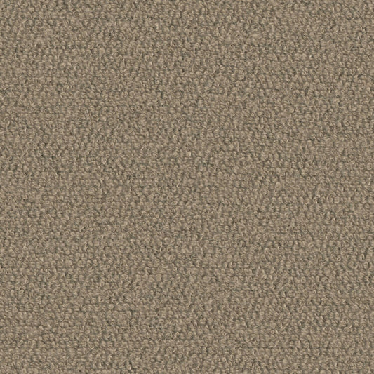 Super Shearling - Earth Tincture - 4119 - 05 - Half Yard