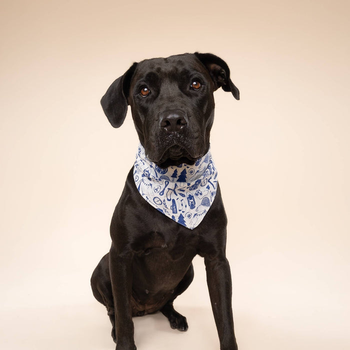 The Paws - Wander Dog Bandana - Dog.Dog.Cat.