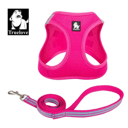 Fuchsia / XXXS
