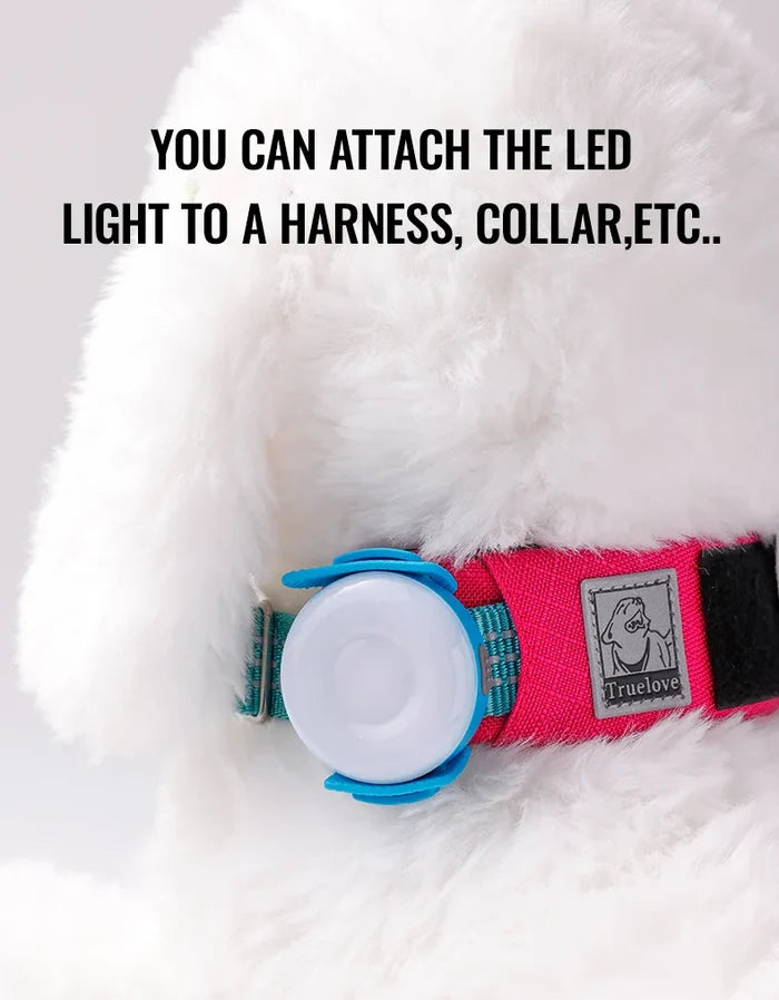 TrueLove Rechargeable LED Dog Safety Light - Waterproof Clip-On Collar Light - Dog.Dog.Cat.