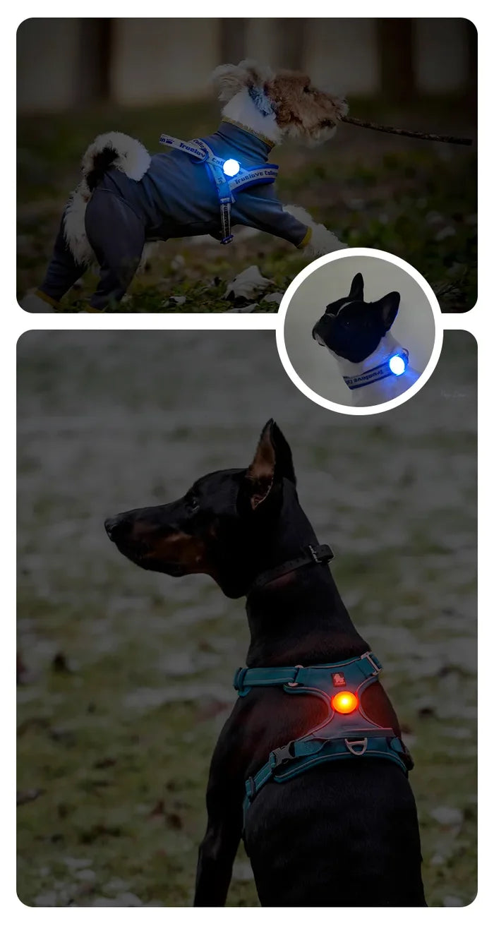 TrueLove Rechargeable LED Dog Safety Light - Waterproof Clip-On Collar Light - Dog.Dog.Cat.