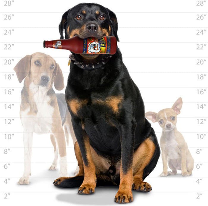 VIP Silly Squeaker Beer Bottles Dog Toy - Durable, Strong Novelty Play Toy - Dog.Dog.Cat.