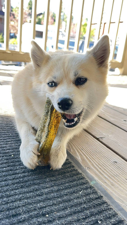 Wag & Bright Mighty Marrows Collagen Dental Chews - Pork & Parsley (Small/Large) - Dog.Dog.Cat.