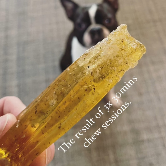 Wag & Bright Mighty Marrows Collagen Dental Chews - Pork & Parsley (Small/Large) - Dog.Dog.Cat.