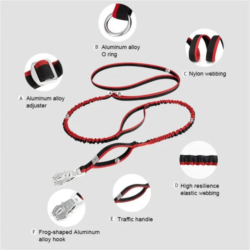 Winhye Dog Leash YL1833: Advanced Multifunctional Leash with Shock-Absorbing Design - Dog.Dog.Cat.