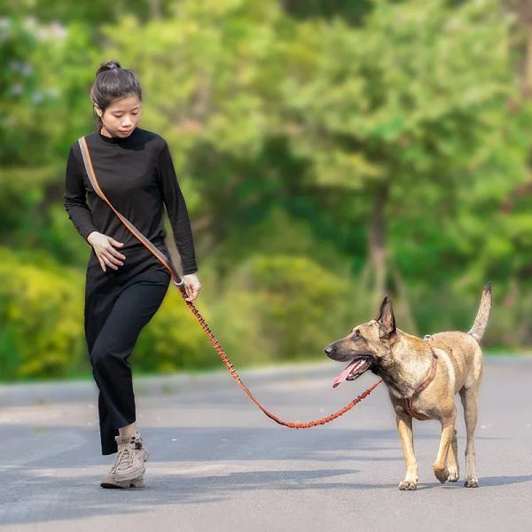 Winhye Dog Leash YL1833: Advanced Multifunctional Leash with Shock-Absorbing Design - Dog.Dog.Cat.