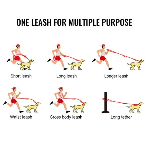 Winhye Dog Leash YL1833: Advanced Multifunctional Leash with Shock-Absorbing Design - Dog.Dog.Cat.