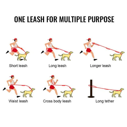 Winhye Dog Leash YL1833: Advanced Multifunctional Leash with Shock-Absorbing Design - Dog.Dog.Cat.
